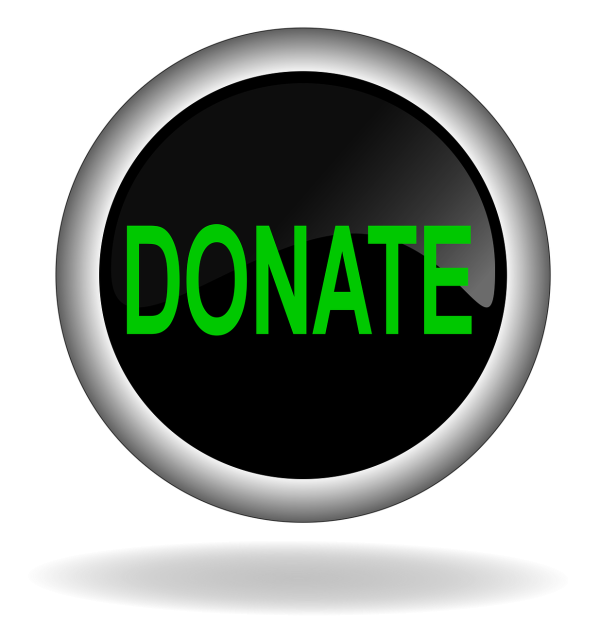 donate, charity, button-1426736.jpg
