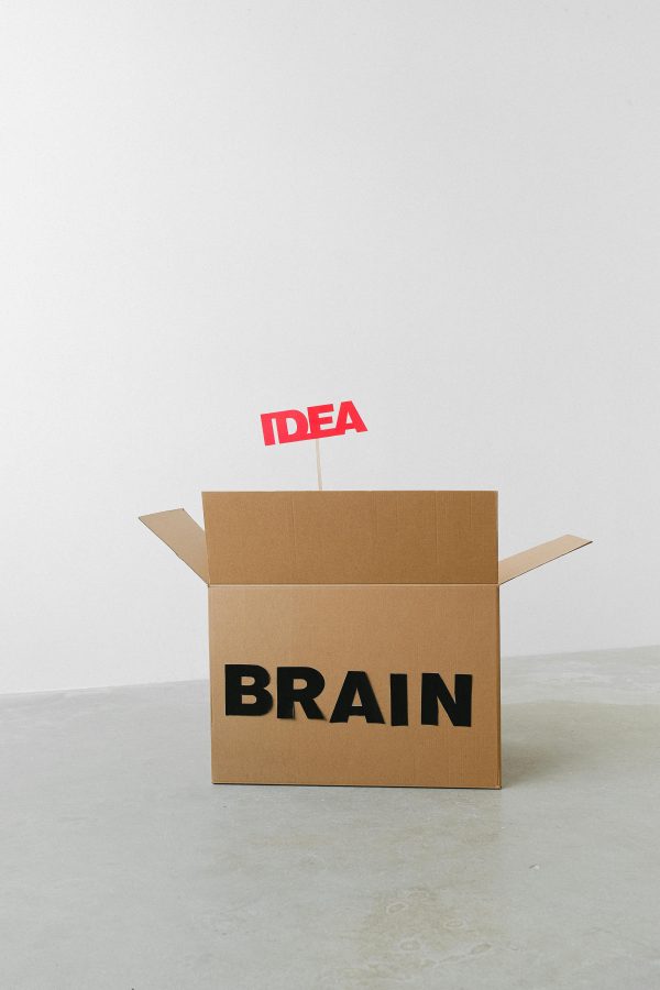 Open carton container with Brain and Idea titles representing intelligent thought on floor on white background